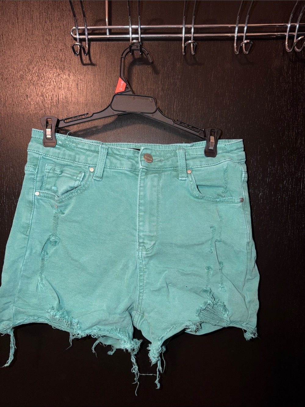 High-Rise Distressed Jean Shorts in Teal